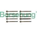Borsehung Sada roub pro hlavy vlc ‐ BSH B10625
