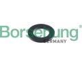 Borsehung Doraz uchycen olejov vany ‐ BSH B10631