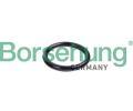 Tsnn potrub chladic kapaliny Borsehung ‐ BSH B10632
