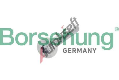 Borsehung roub ozubenho kola vakov hdele BSH B10634, B10634