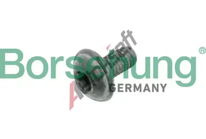 Borsehung Šroub brzdového kotouče BSH B10635, B10635  Borsehung Šroub brzdového kotouče BSH B10635, B10635