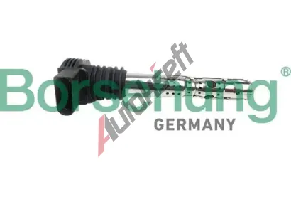 Borsehung Zapalovac cvka BSH B10691, B10691