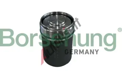 Borsehung Sada na opravy, Mechatronik (automatická převodovka) BSH B10924, B10924 Borsehung Sada na opravy, Mechatronik (automatická převodovka) BSH B10924, B10924