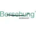 Brzdov hadice Borsehung ‐ BSH B10949