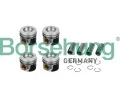 Pst Borsehung ‐ BSH B11132