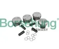 Pst Borsehung ‐ BSH B11134