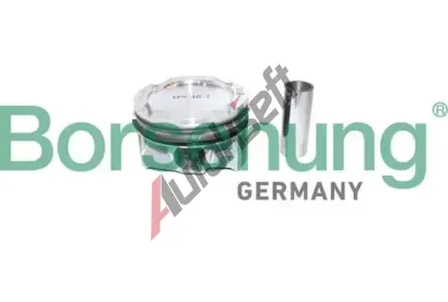 Borsehung Píst BSH B11137, B11137 Borsehung Píst BSH B11137, B11137