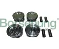 Pst Borsehung ‐ BSH B11141