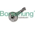 Vakov hdel Borsehung ‐ BSH B11319