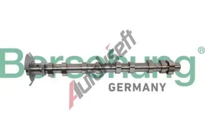 Borsehung Vačkový hřídel BSH B11320, B11320 Borsehung Vačkový hřídel BSH B11320, B11320