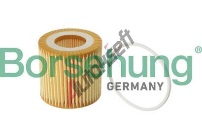 Borsehung Olejov filtr BSH B12219, B12219