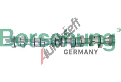 Borsehung Vakov hdel BSH B12299, B12299