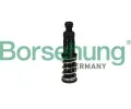 Olej tlakovho ventilu Borsehung ‐ BSH B12309