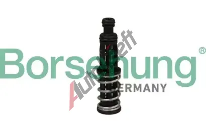 Borsehung Olej tlakovho ventilu BSH B12309, B12309