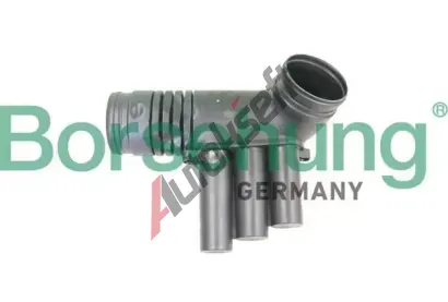 Borsehung Sac hadice vzduchovho filtru BSH B12330, B12330