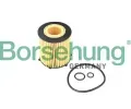 Olejov filtr Borsehung ‐ BSH B12405