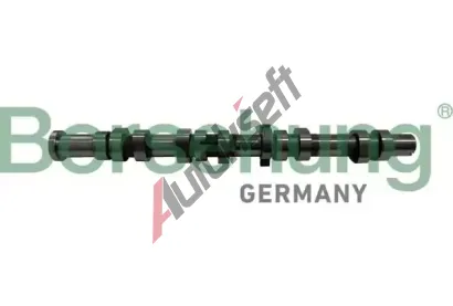 Borsehung Vakov hdel BSH B12431, B12431