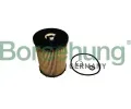 Olejov filtr Borsehung ‐ BSH B12456