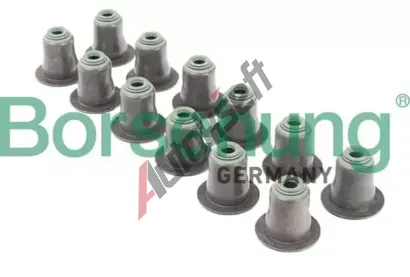 Borsehung Těsnicí kroužek dříku ventilu BSH B12507, B12507 Borsehung Těsnicí kroužek dříku ventilu BSH B12507, B12507