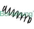 Pru�ina podvozku&nbsp;Borsehung&nbsp;&dash;&nbsp;BSH B12627