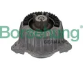 Zav�en� motoru&nbsp;Borsehung&nbsp;&dash;&nbsp;BSH B12645