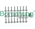 Sada roub, olejov vana  automatick pevodovka Borsehung ‐ BSH B12749
