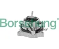 Zav�en� motoru&nbsp;Borsehung&nbsp;&dash;&nbsp;BSH B12906