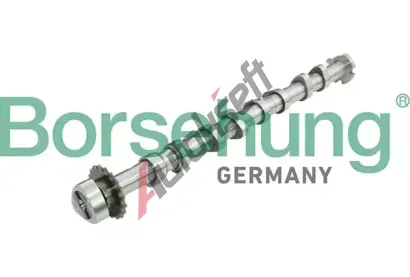 Borsehung Va�kov� h��del BSH B13031, B13031