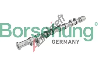 Borsehung Va�kov� h��del BSH B13032, B13032