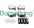 Borsehung Sada pstnch krouk ‐ BSH B13574