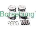 Sada pstnch krouk Borsehung ‐ BSH B13576