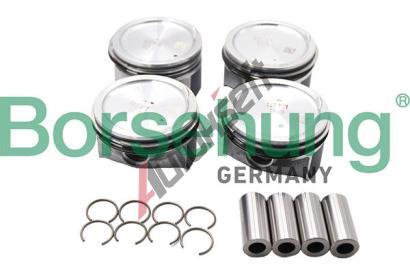 Borsehung Sada pstnch krouk BSH B13577, B13577