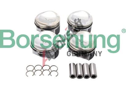 Borsehung Sada pstnch krouk BSH B13582, B13582