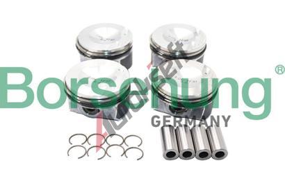 Borsehung Sada pstnch krouk BSH B13583, B13583
