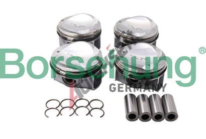 Borsehung Sada pstnch krouk BSH B13584, B13584