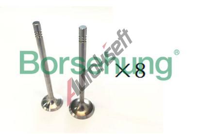 Borsehung Ventil BSH B18189, B18189