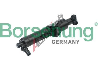 Borsehung Tryska ostikovae itn svtlometu BSH B18481, B18481