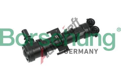 Borsehung Tryska ostikovae itn svtlometu BSH B18507, B18507