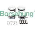 Borsehung Sada pstnch krouk ‐ BSH B18670