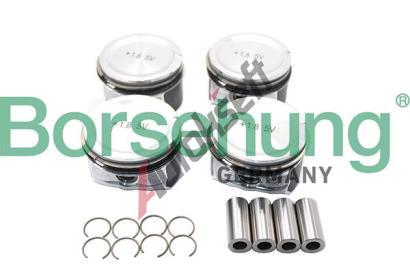 Borsehung Sada pstnch krouk BSH B18670, B18670