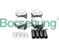 Borsehung Sada pstnch krouk ‐ BSH B18741