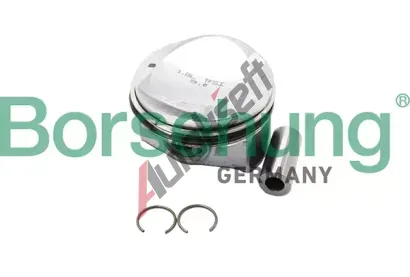 Borsehung Sada pstnch krouk BSH B18991, B18991