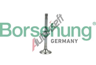 Borsehung Vfukov ventil BSH B19005, B19005