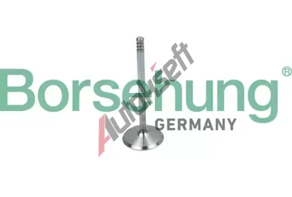 Borsehung Sací ventil BSH B19018, B19018 Borsehung Sací ventil BSH B19018, B19018