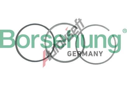 Borsehung Sada pstnch krouk BSH B19052, B19052