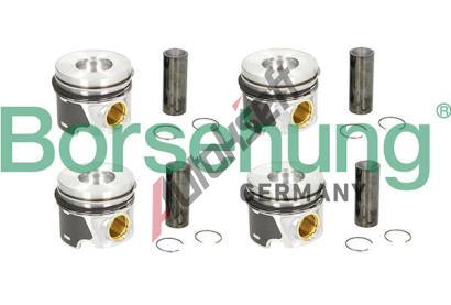 Borsehung Sada pstnch krouk BSH B19303, B19303
