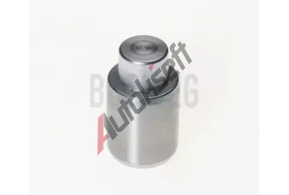 BUDWEG CALIPER P�st brzdov�ho t�menu BWC 233003, 233003