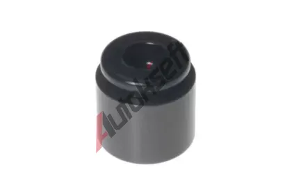 BUDWEG CALIPER P�st brzdov�ho t�menu BWC 233213, 233213