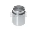 Pst brzdovho tmenu BUDWEG CALIPER ‐ BWC 233426