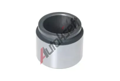 BUDWEG CALIPER P�st brzdov�ho t�menu BWC 233884, 233884